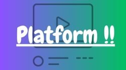 plaform website