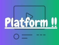 plaform website