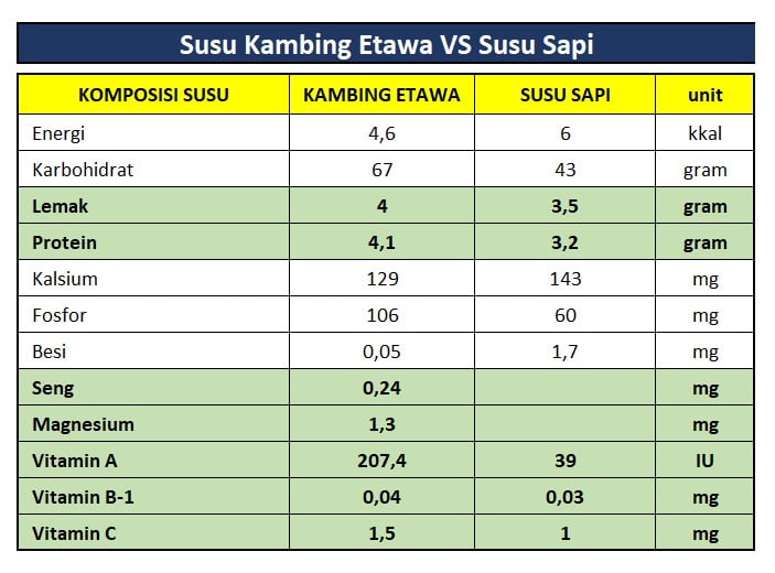 Susu Kambing Etawa VS Susu Sapi